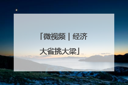 微视频｜经济大省挑大梁